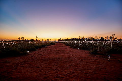 Uluru (Ayers Rock) Field Of Light Sunrise Tour - Find Attractions 3