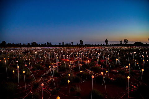 Uluru (Ayers Rock) Field Of Light Sunrise Tour - Find Attractions 4