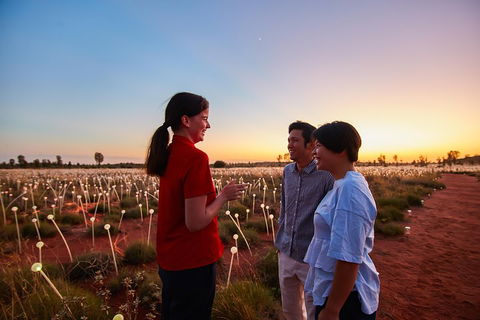 Uluru (Ayers Rock) Field Of Light Sunrise Tour - Find Attractions 5