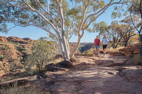 3-Day Tour From Uluru (Ayers Rock) To Alice Springs Via Kings Canyon - Find Attractions 1