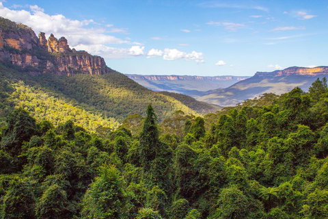 Blue Mountains Nature And Wildlife Day Tour From Sydney - Find Attractions 1