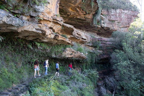 Blue Mountains Nature And Wildlife Day Tour From Sydney - Find Attractions 2