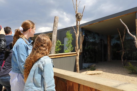 Blue Mountains Nature And Wildlife Day Tour From Sydney - Find Attractions 3