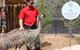 Blue Mountains Nature And Wildlife Day Tour From Sydney - thumb 5