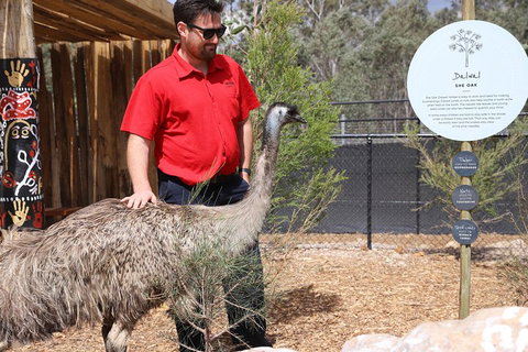 Blue Mountains Nature And Wildlife Day Tour From Sydney - Find Attractions 5