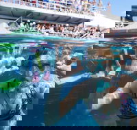 Great Barrier Reef Day Cruise from Cairns Including Snorkeling and Marine Biologist Presentation - Find Attractions