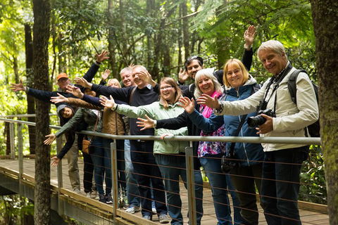 All Inclusive Blue Mountains Small-Group Day Trip From Sydney - Find Attractions 5