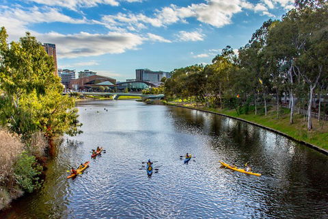 Adelaide City Kayak Tour - Find Attractions 0