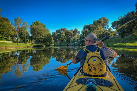 Adelaide City Kayak Tour - Find Attractions 5