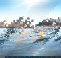 Brisbane Kayak Tour - Find Attractions