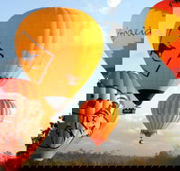 Natural Bridge  Springbrook Waterfalls Tour  Hot Air Balloon with Breakfast - Find Attractions