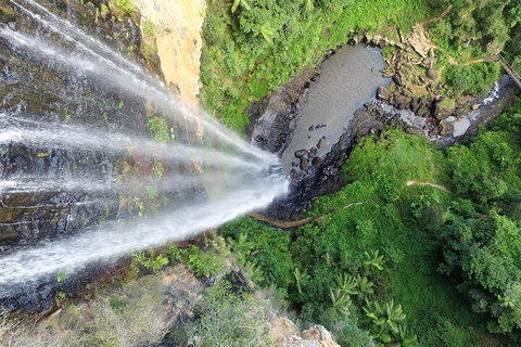 Natural Bridge & Springbrook Waterfalls Tour + Hot Air Balloon With Breakfast - Find Attractions 1