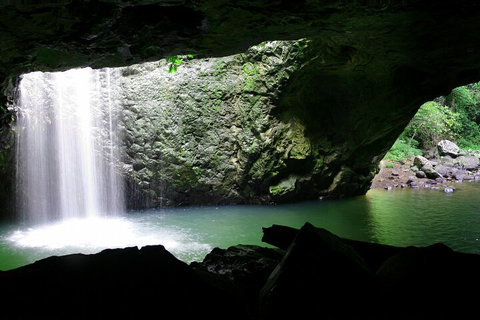 Natural Bridge & Springbrook Waterfalls Tour + Hot Air Balloon With Breakfast - Find Attractions 2