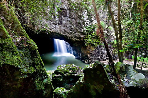 Natural Bridge & Springbrook Waterfalls Tour + Hot Air Balloon With Breakfast - Find Attractions 4
