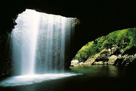 Natural Bridge & Springbrook Waterfalls Tour - Find Attractions 0