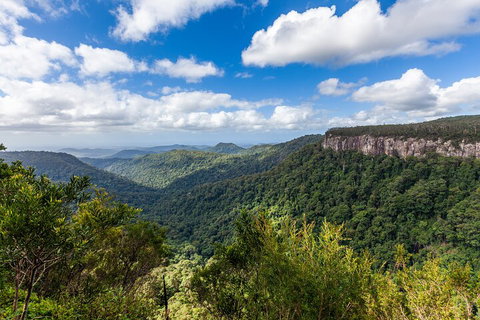 Natural Bridge & Springbrook Waterfalls Tour - Find Attractions 1