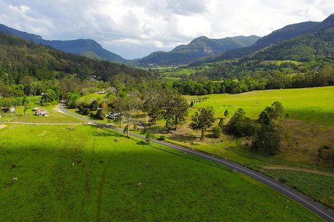 Natural Bridge & Springbrook Waterfalls Tour - Find Attractions 2