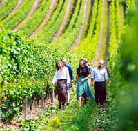 Tasmanian Wine Tour - Find Attractions
