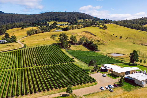 Tasmanian Wine Tour - Find Attractions 4