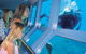Quicksilver Outer Great Barrier Reef Snorkel Cruise From Palm Cove - thumb 0