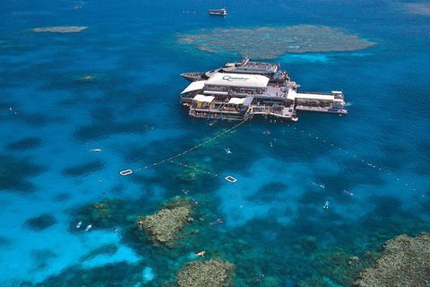 Quicksilver Outer Great Barrier Reef Snorkel Cruise From Palm Cove - Find Attractions 1