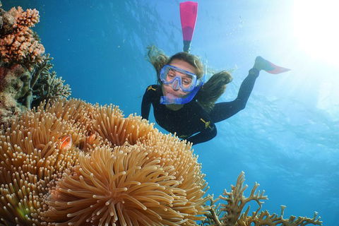 Quicksilver Outer Great Barrier Reef Snorkel Cruise From Palm Cove - Find Attractions 2
