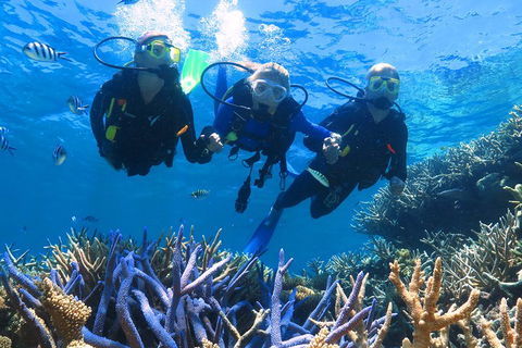 Quicksilver Outer Great Barrier Reef Snorkel Cruise From Palm Cove - Find Attractions 3