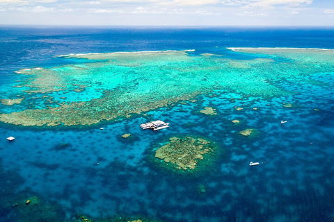 Quicksilver Outer Great Barrier Reef Snorkel Cruise From Palm Cove - Find Attractions 4