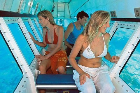 Quicksilver Outer Great Barrier Reef Snorkel Cruise From Palm Cove - Find Attractions 5