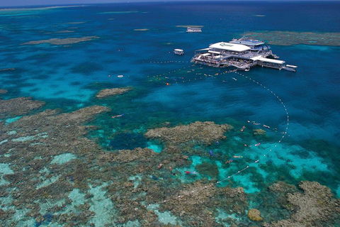 Quicksilver Outer Great Barrier Reef Snorkel Cruise From Port Douglas - Find Attractions 3
