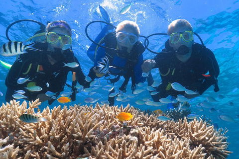 Quicksilver Outer Great Barrier Reef Snorkel Cruise From Port Douglas - Find Attractions 4