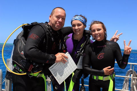 Quicksilver Dive 4 Day PADI Learn To Dive Course - Find Attractions 0