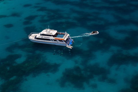 Quicksilver Dive 4 Day PADI Learn To Dive Course - Find Attractions 1