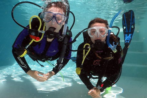 Quicksilver Dive 4 Day PADI Learn To Dive Course - Find Attractions 2