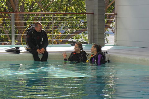 Quicksilver Dive 4 Day PADI Learn To Dive Course - Find Attractions 3
