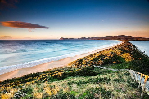 Bruny Island Private Charter Service - Find Attractions 0
