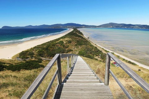 Bruny Island Private Charter Service - Find Attractions 4
