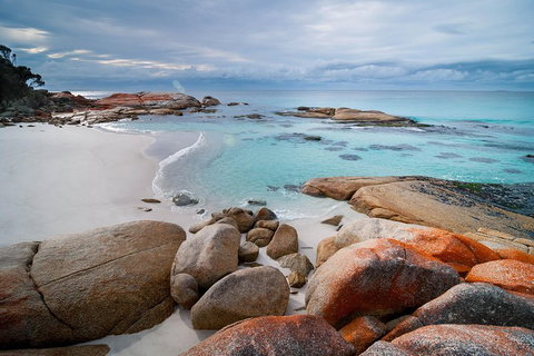 Wineglass Bay Private Charter Service - Find Attractions 0