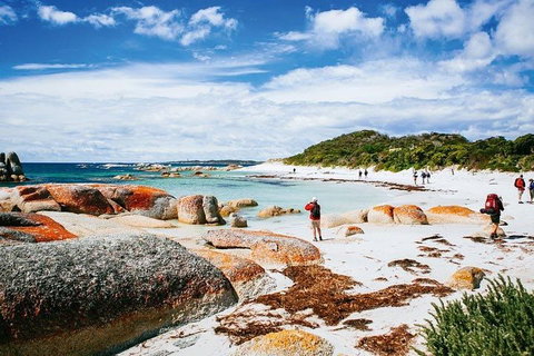 Wineglass Bay Private Charter Service - Find Attractions 3
