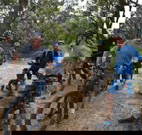 Fully guided E-Mountain Bike Tour on the beautiful Mornington Peninsula. - Find Attractions