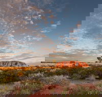 Uluru Kata Tjuta and Kings Canyon Camping Safari from Alice Springs - Find Attractions
