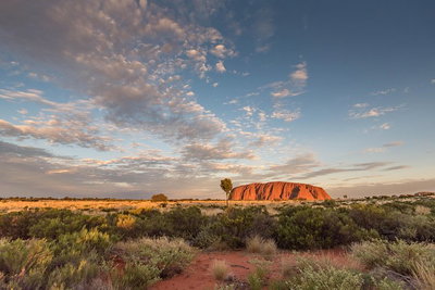 Uluru Kata Tjuta and Kings Canyon Camping Safari from Alice Springs