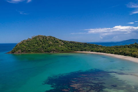 Daintree And Cape Tribulation Tour From Cairns - Find Attractions 4