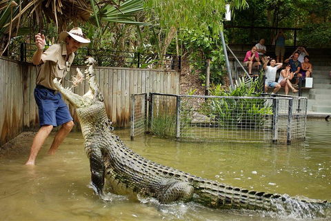 Hartley's Crocodile Adventure Half-Day Tour - Find Attractions 2