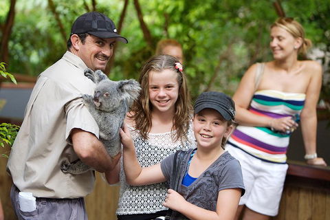 Hartley's Crocodile Adventure Half-Day Tour - Find Attractions 3