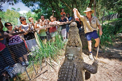 Hartley's Crocodile Adventure Half-Day Tour - Find Attractions 4