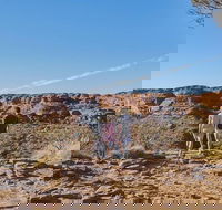 The Amazing Kings Canyon 4-Hours Walking Tour and Hike - Find Attractions