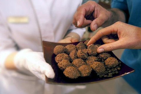 Explore Adelaide City Tour: Haigh's Tasting Chocolate & Adelaide Oval Tour - Find Attractions 2