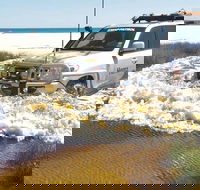 Full-Day Moreton Island 4x4 Sightseeing Tour - Find Attractions