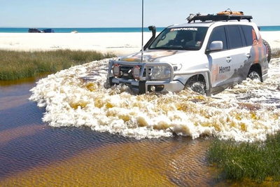 Full-Day Moreton Island 4x4 Sightseeing Tour